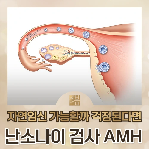 AMH 수치가 낮게 나왔다면, 임신이 어려운 몸일까요?