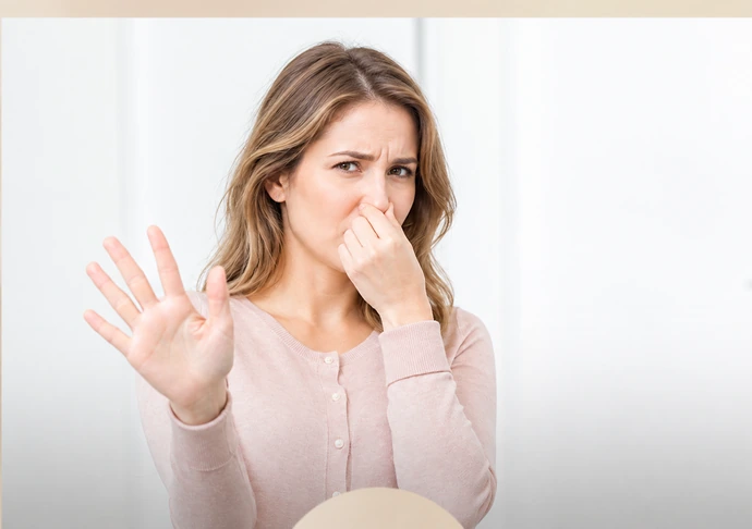 Anatomy illustration related to Morning Sickness in Early Pregnancy: How Can It Be Eased?