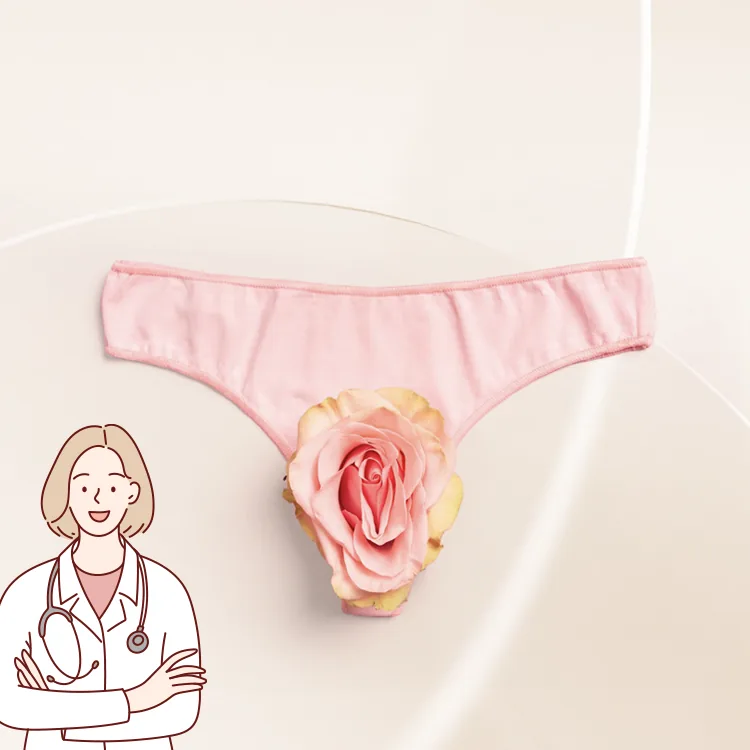 Anatomy illustration related to Why Should Brazilian Laser Hair Removal Be Done at a Gynaecology Clinic?