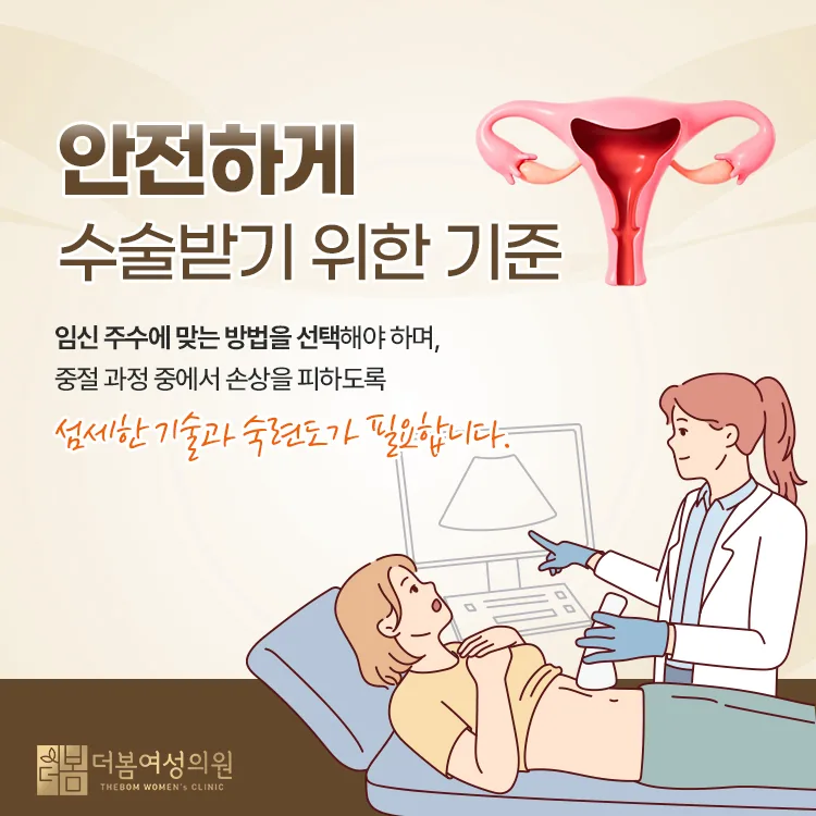 임신중절수술, 왜 임신 주수에 따라 방법이 달라지나요? 관련 해부 구조 그림