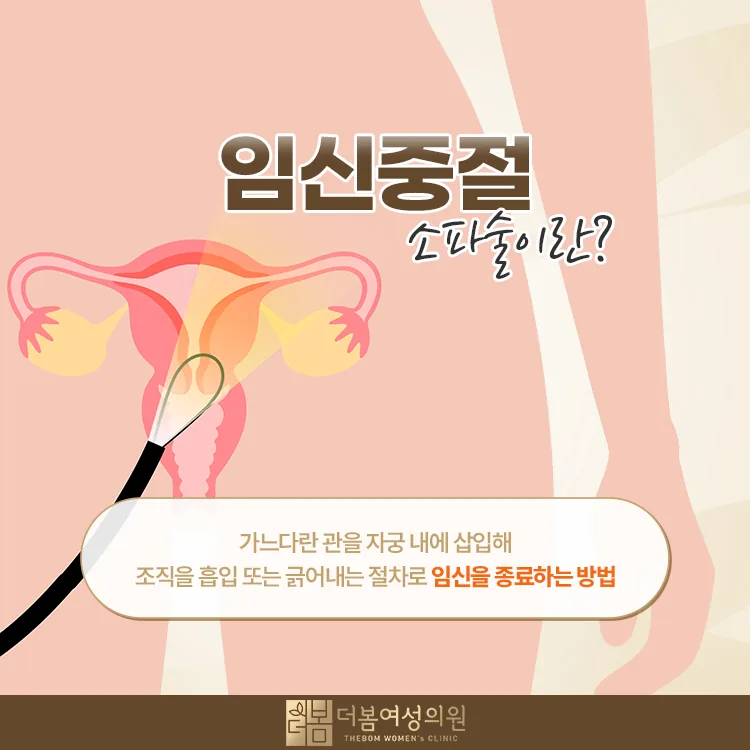 임신중절수술, 왜 임신 주수에 따라 방법이 달라지나요? 관련 해부 구조 그림